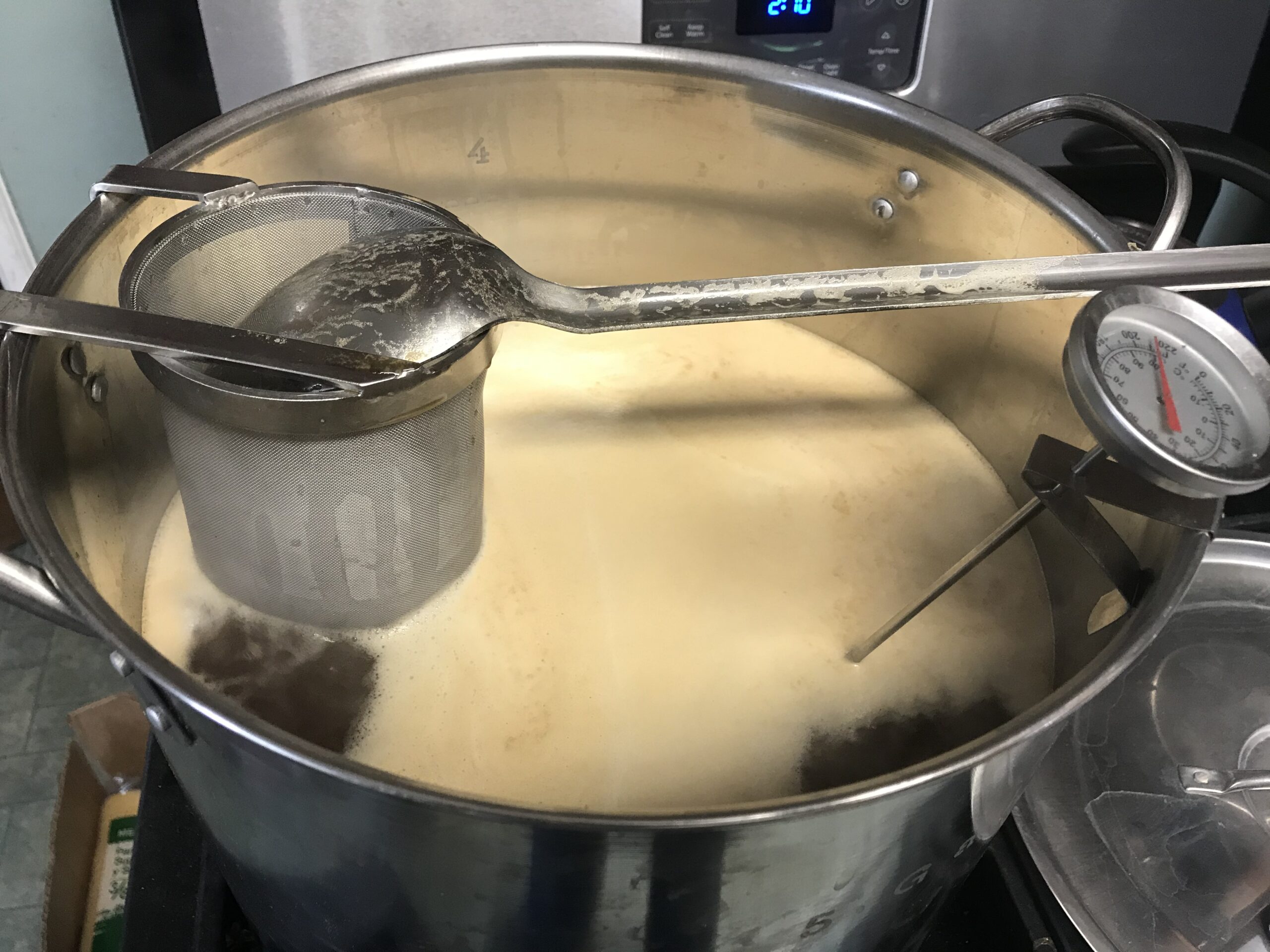 Homebrew wort in kettle
